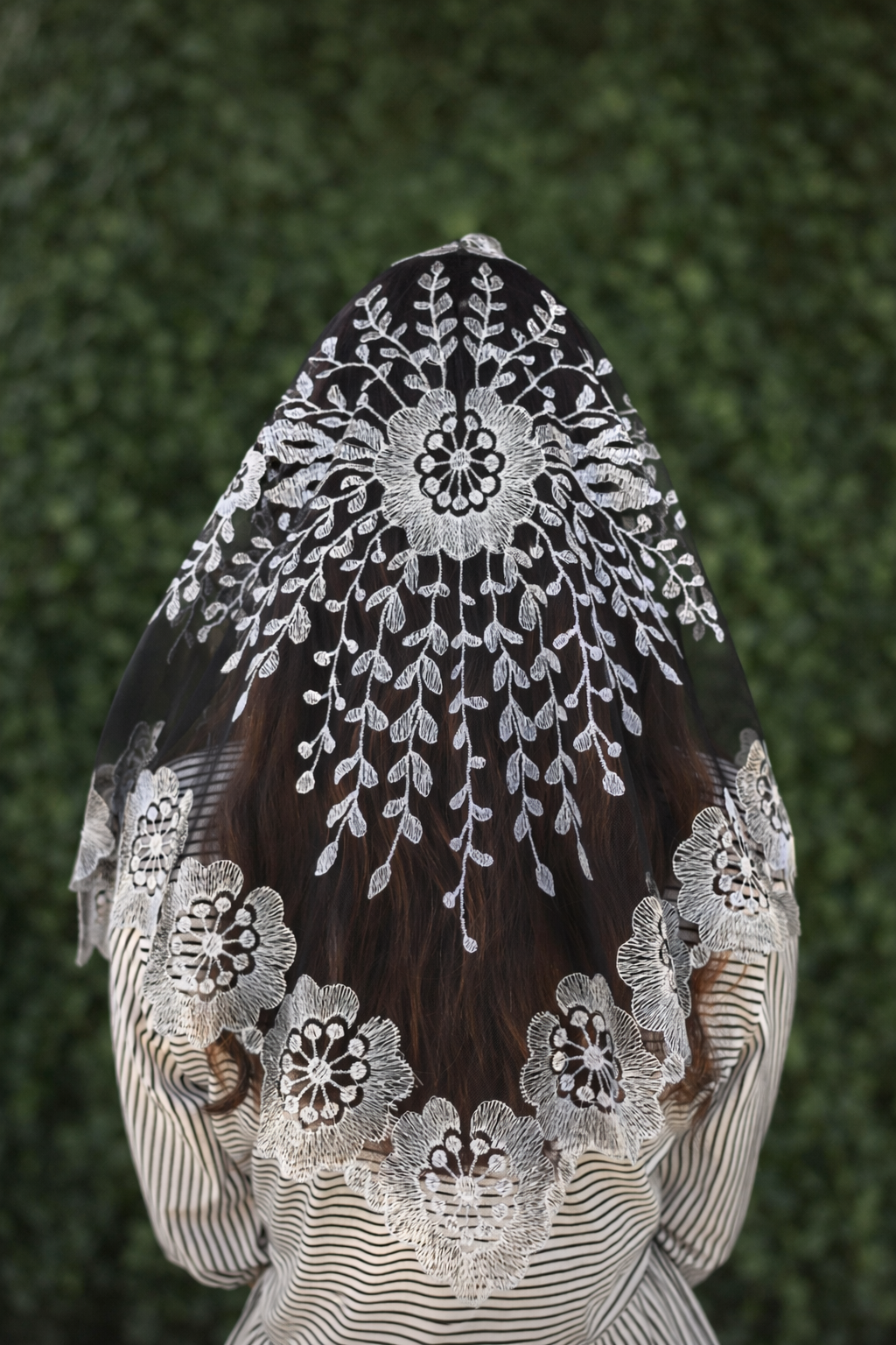 Veils