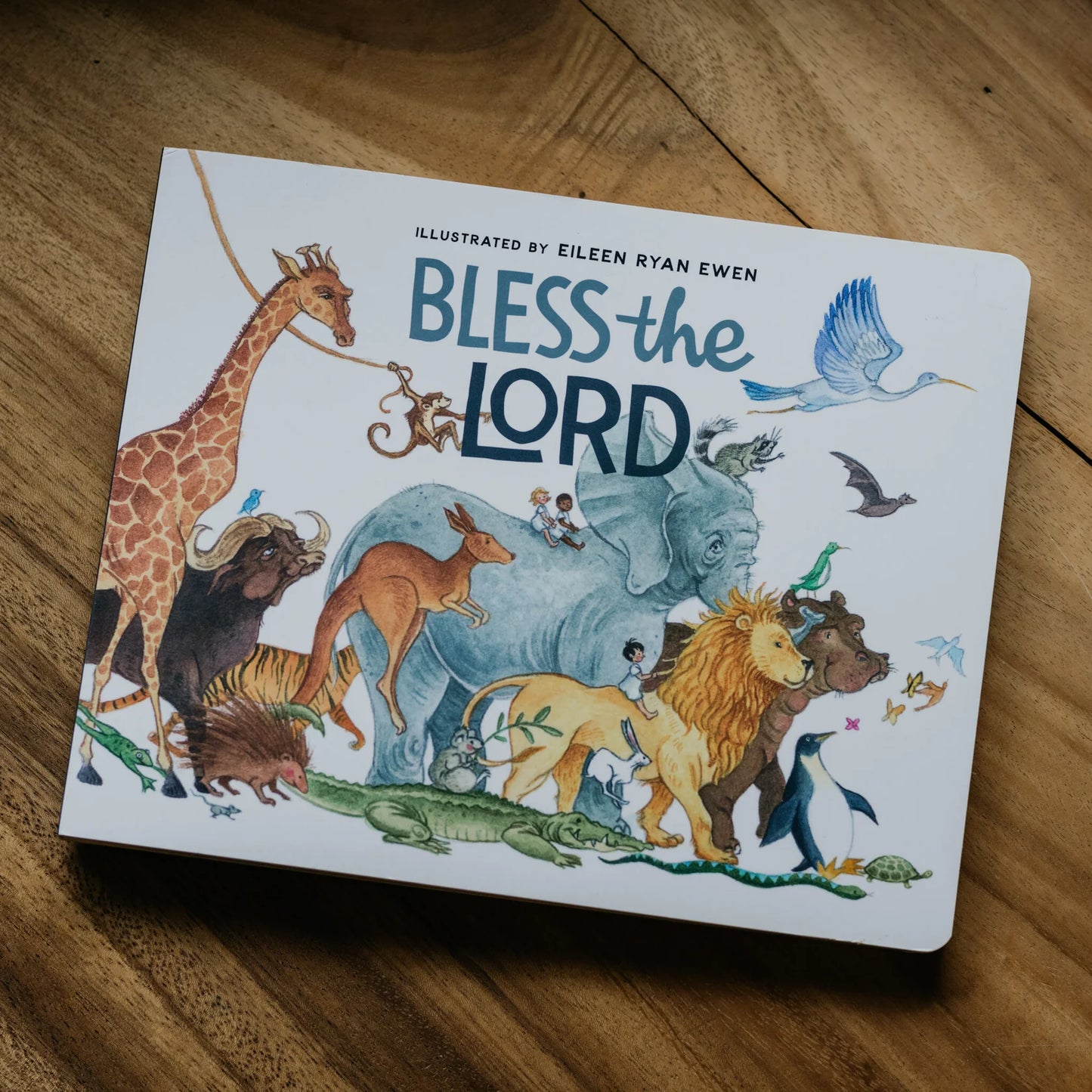 Bless the Lord Board Book