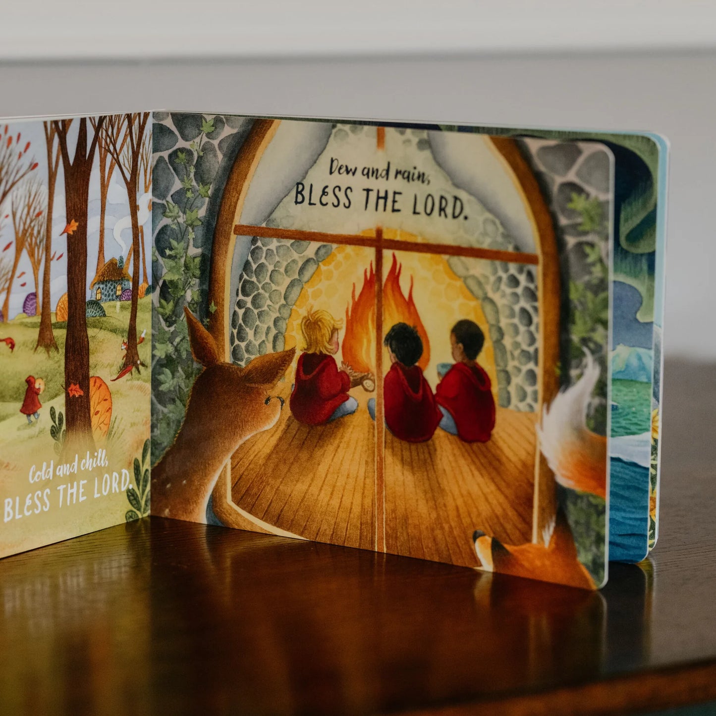 Bless the Lord Board Book