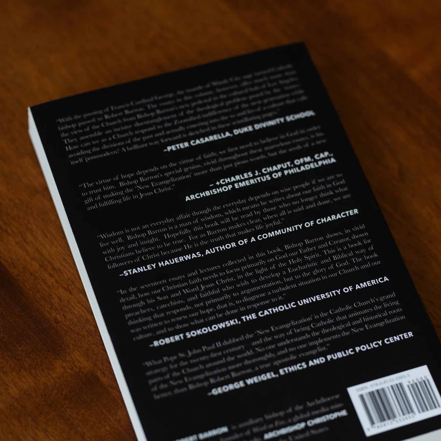 Renewing Our Hope: Essays for the New Evangelization