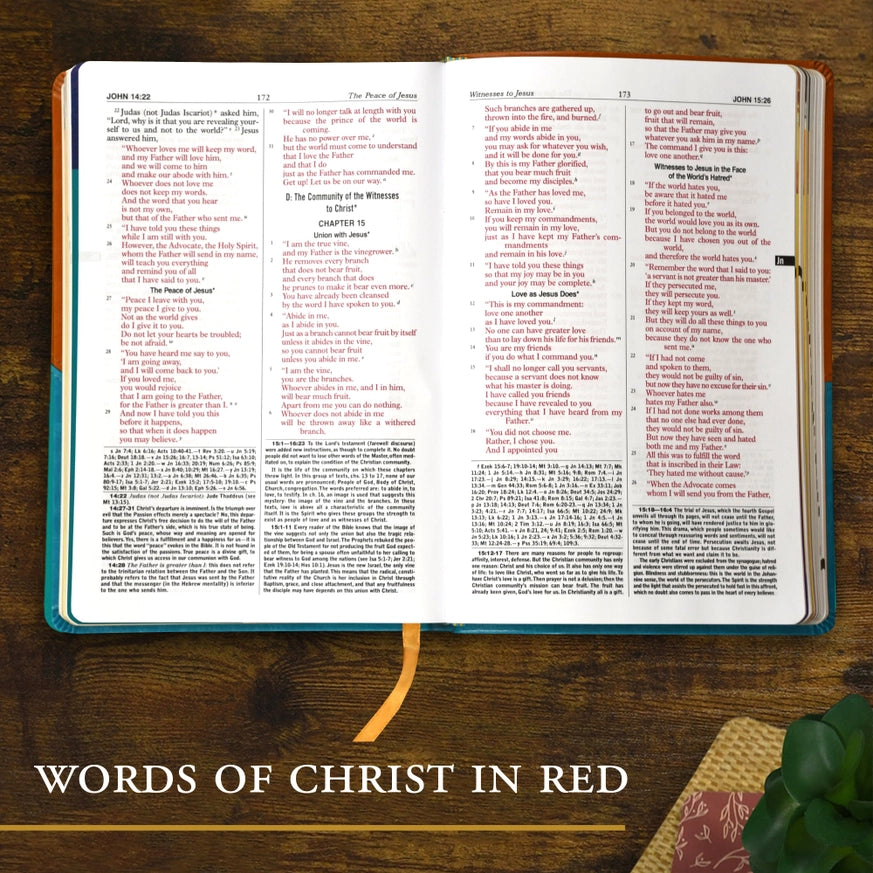 New Catholic Bible For Youth - Gift Edition
