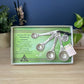 Trinity Knot Amazing Woman Measuring Spoons
