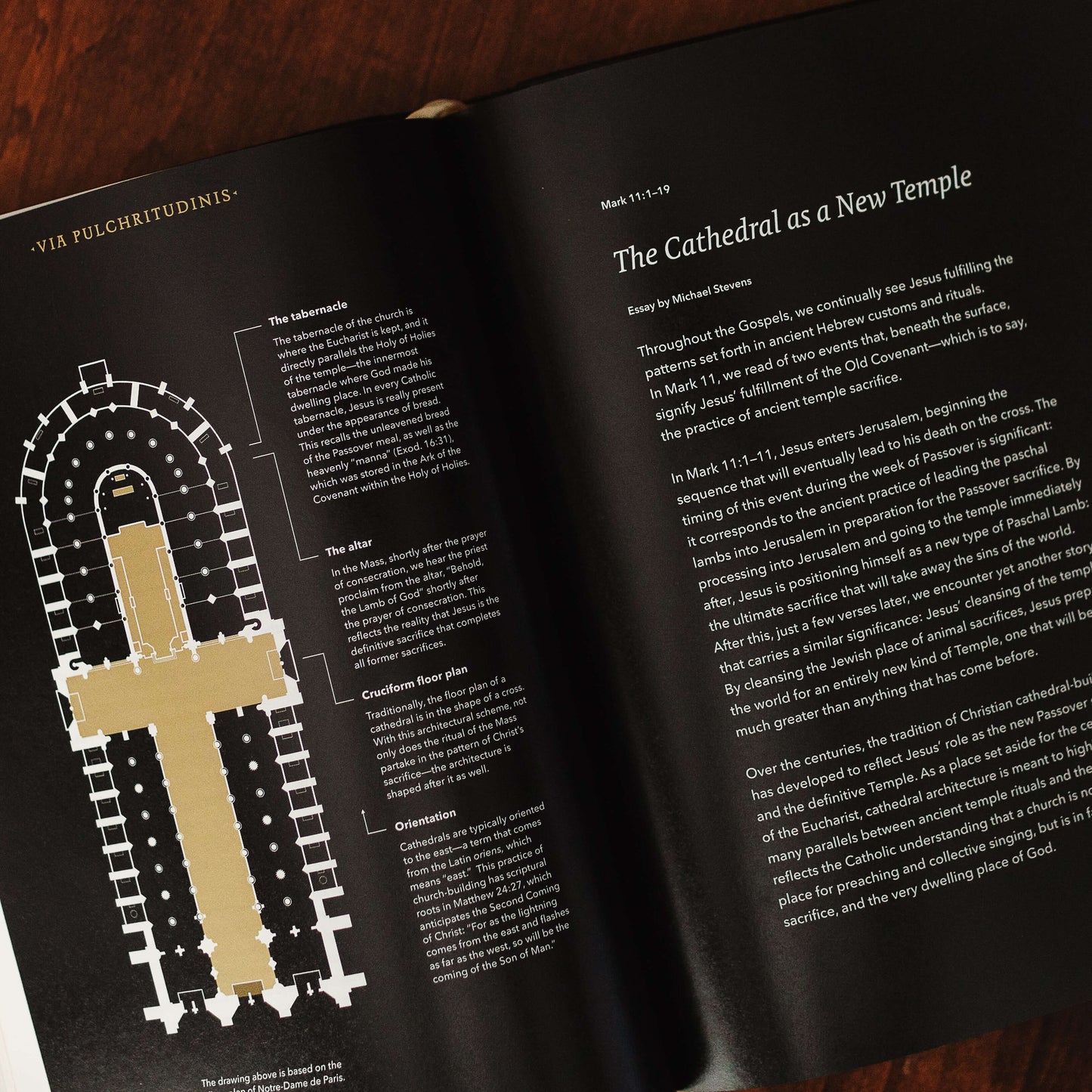 The Word on Fire Bible: The Gospels