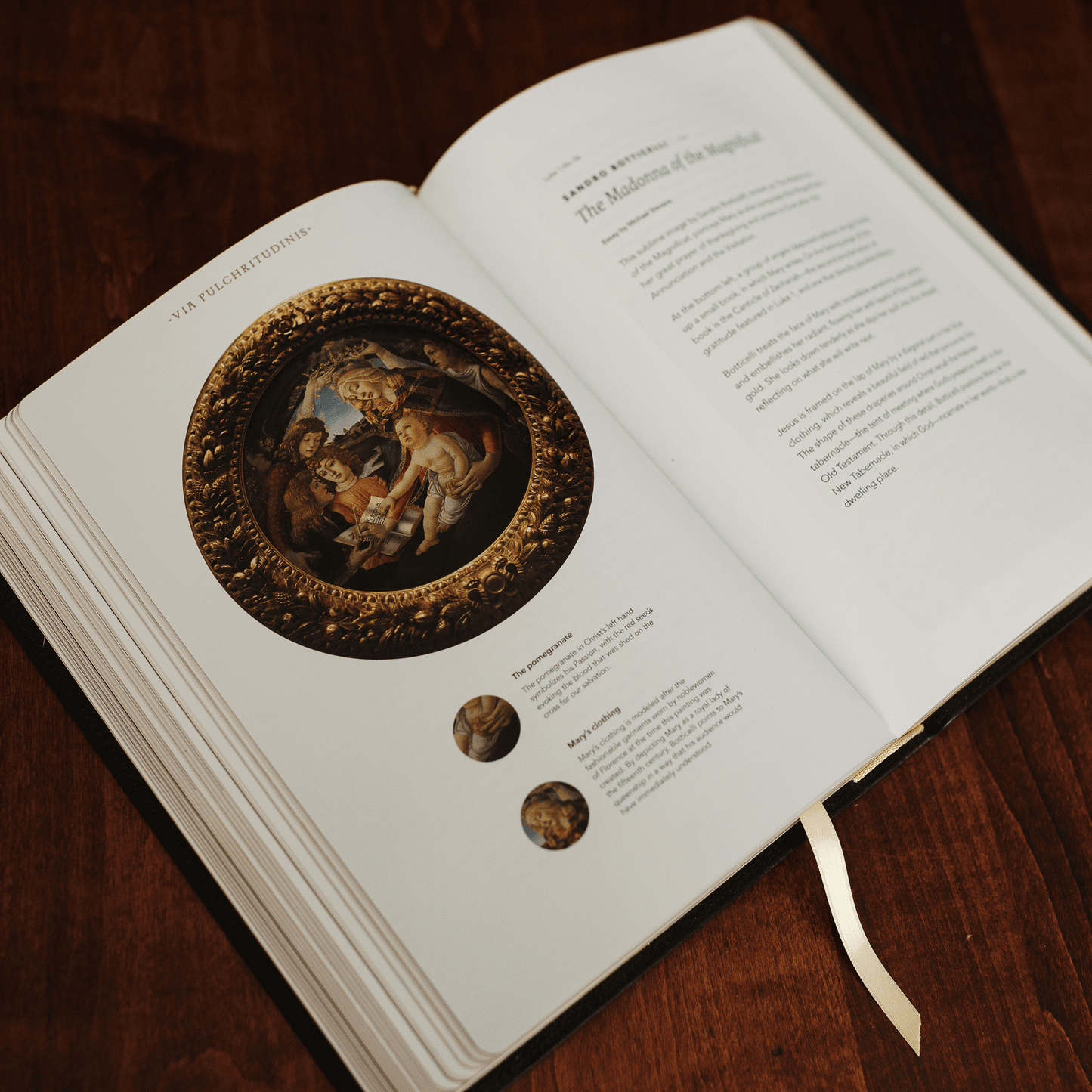 The Word on Fire Bible: The Gospels