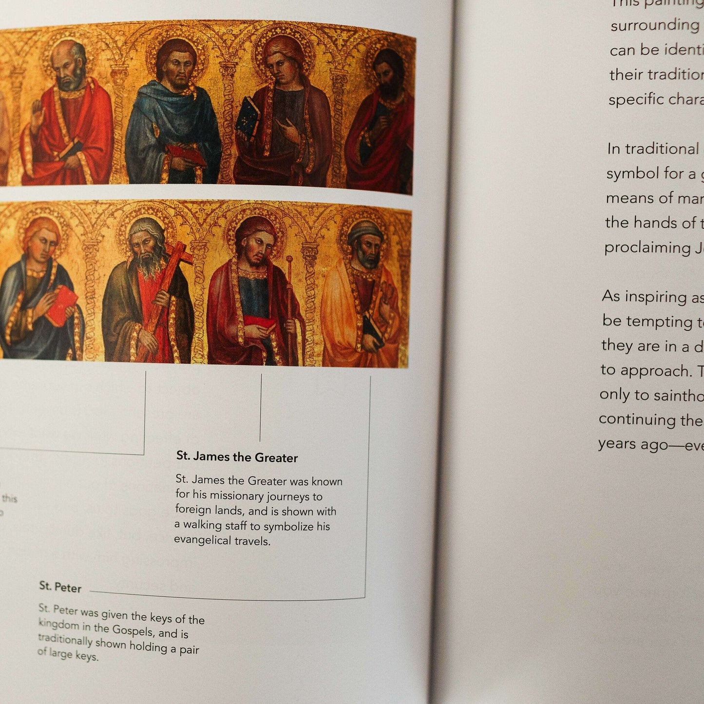 The Word on Fire Bible: The Gospels