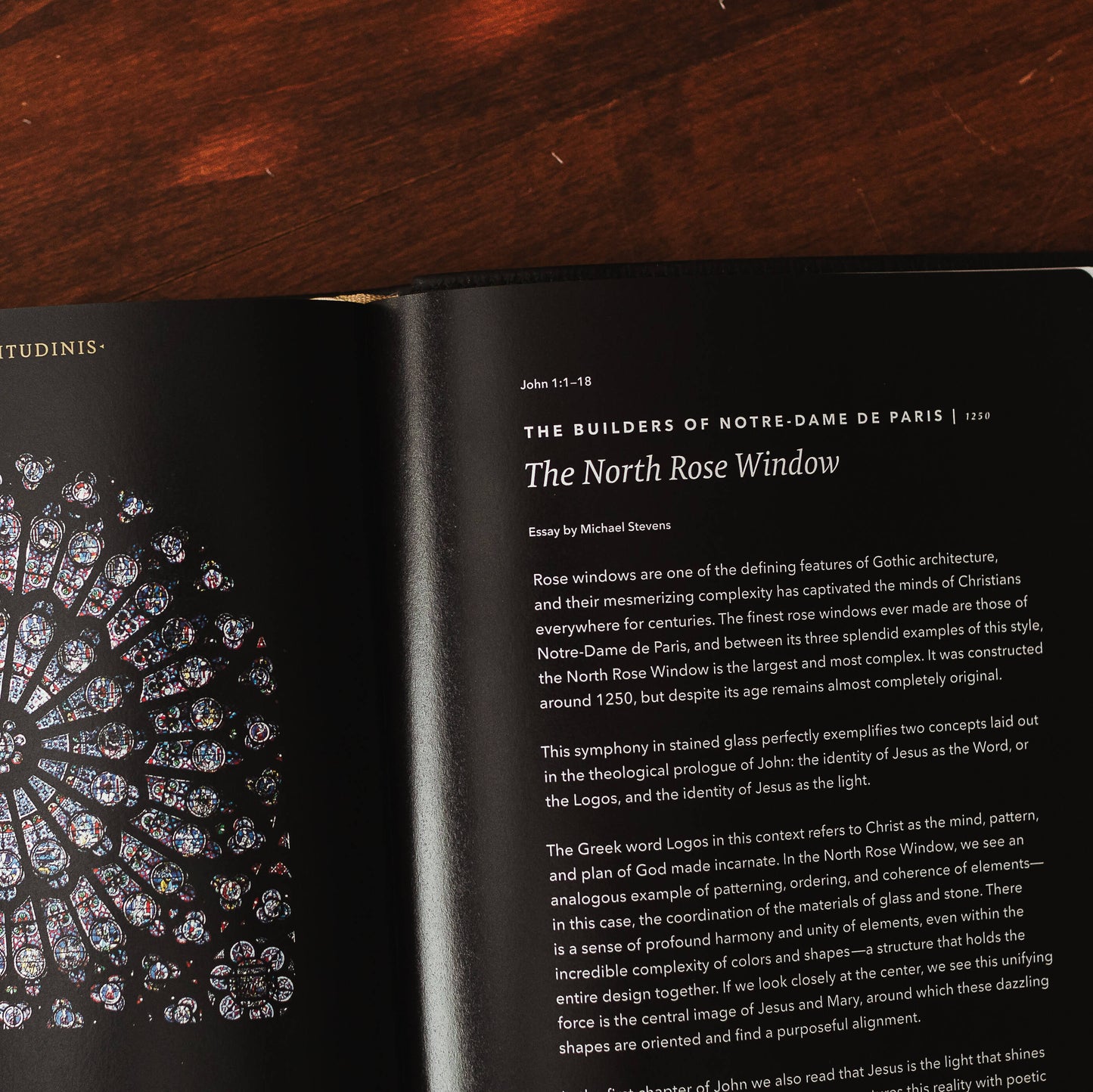 The Word on Fire Bible: The Gospels