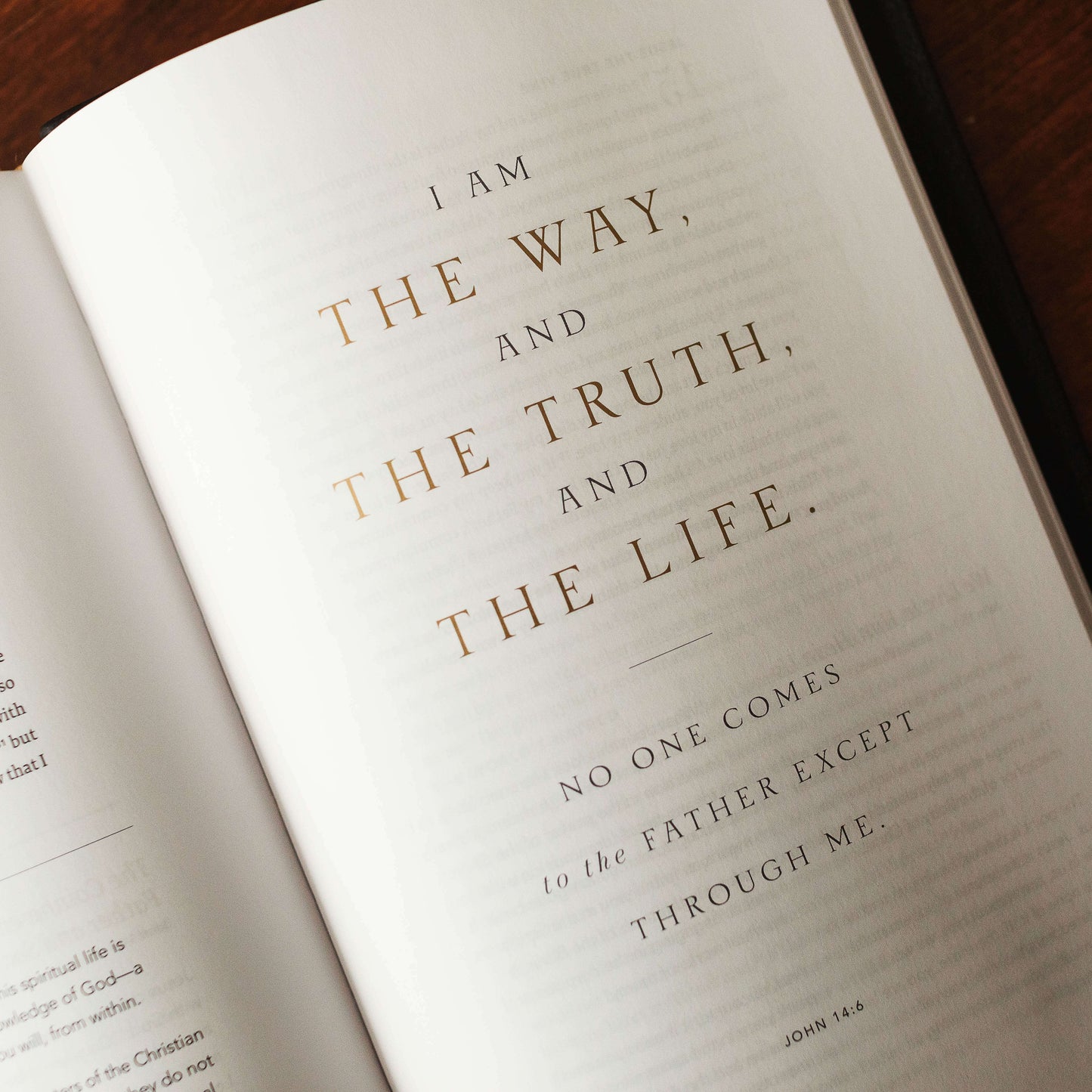 The Word on Fire Bible: The Gospels