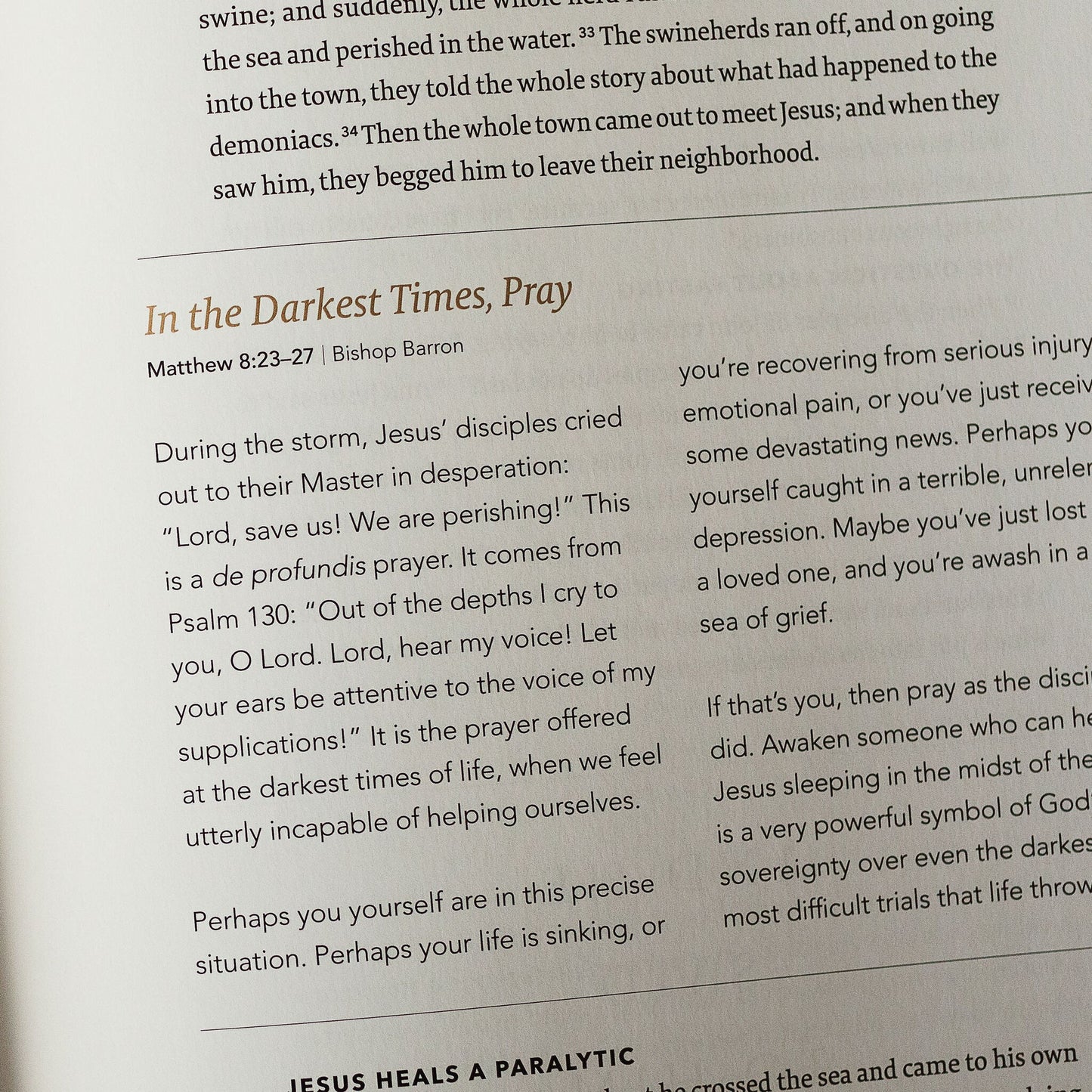 The Word on Fire Bible: The Gospels