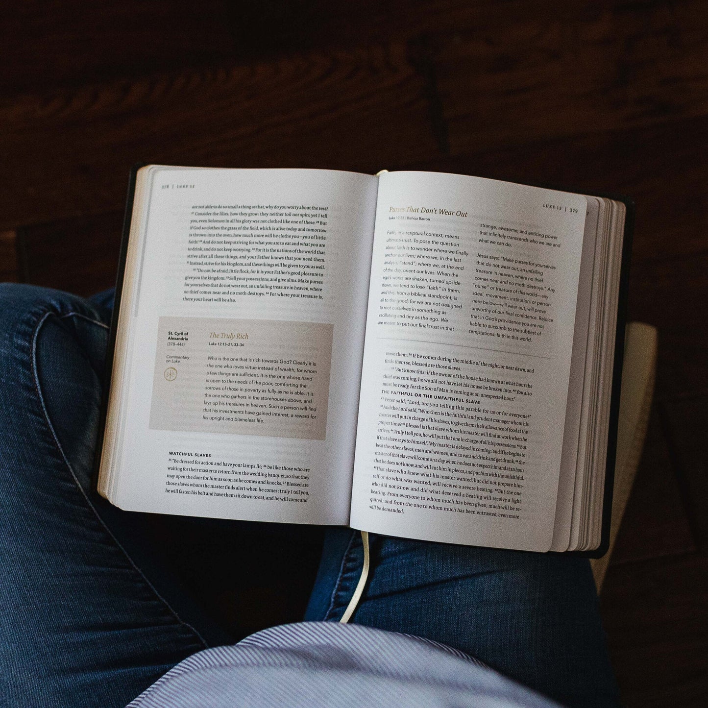 The Word on Fire Bible: The Gospels