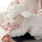 Pink Goodnight Prayer Mechanical Lamb